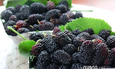 Marmellata di gelsi neri